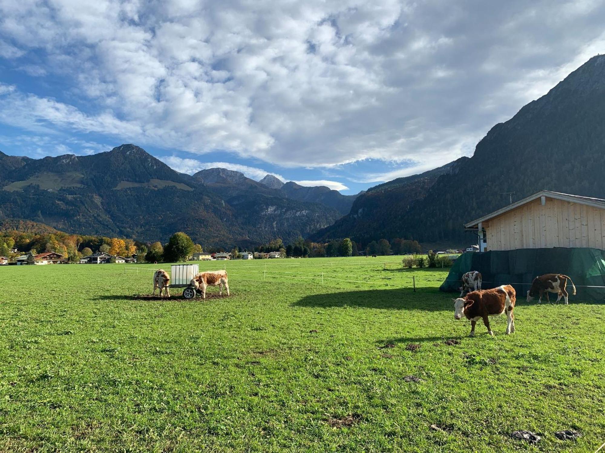 Ferienwohnung Hochkalterblick Schönau am Königssee Extérieur photo